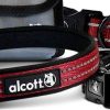 Alcott Collar Red - Collars - Xtra Dog