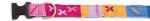 A Tail We Could Wag, Starry Day (Mango Shine) - Collars - Xtra Dog