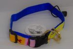 A Tail We Could Wag, Starry Day (Mango Shine) - Collars - Xtra Dog