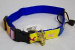 A Tail We Could Wag, Starry Day (Mango Shine) - Collars - Xtra Dog