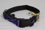 A Tail We Could Wag, Sun Valley (Night) - Collars - Xtra Dog