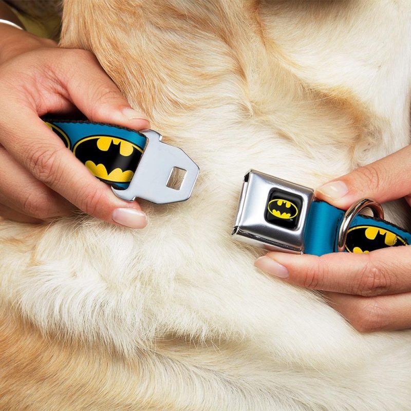 Buckle-Down Batman Bat Signal Blue/Yellow/Black Dog Collar - Collars - Xtra Dog
