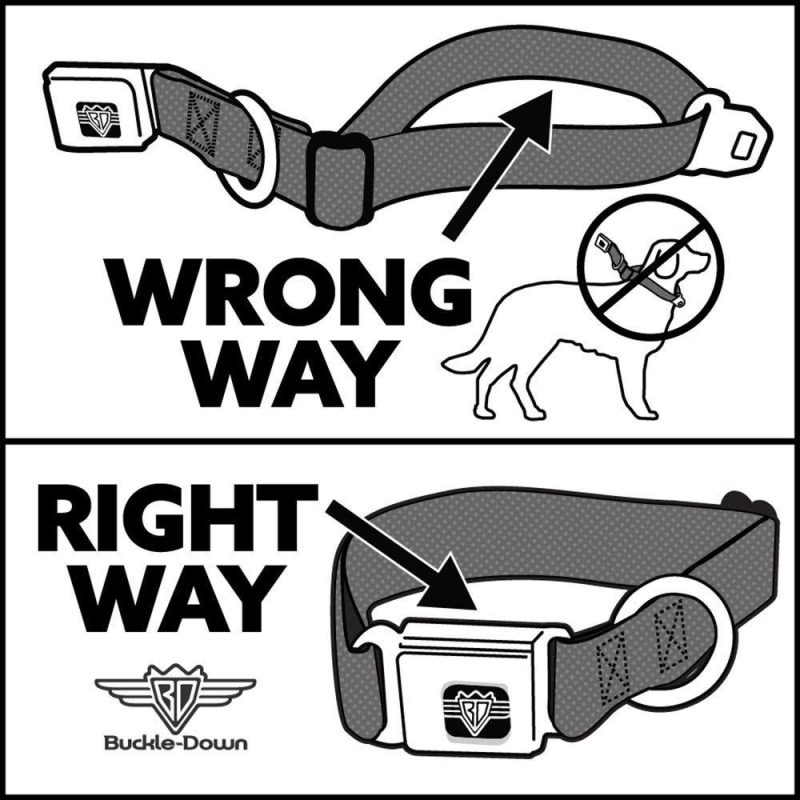 Buckle-Down Mickey Mouse Dog Collar - Collars - Xtra Dog