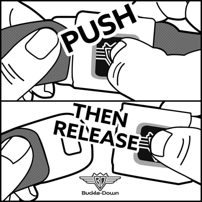 images Buckle-Down Minnie Mouse Dog Collar - Collars - Xtra Dog