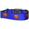Buckle-Down Superman Shield Blue Dog Collar - Collars - Xtra Dog