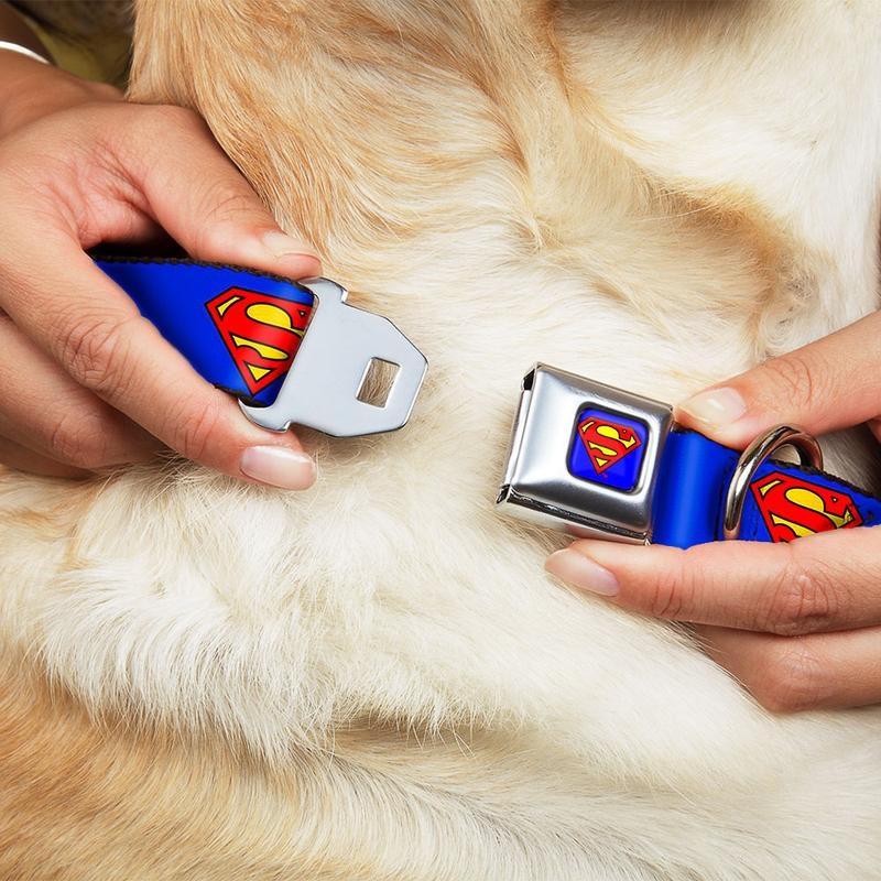 Buckle-Down Superman Shield Blue Dog Collar - Collars - Xtra Dog