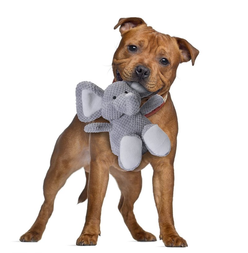 goDog Elephant with Chew Guard Technology - Plush Toys - Xtra Dog
