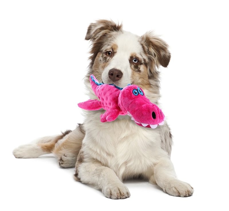 goDog Gators with Chew Guard Technology - Plush Toys - Xtra Dog