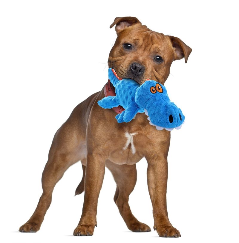 goDog Gators with Chew Guard Technology - Plush Toys - Xtra Dog