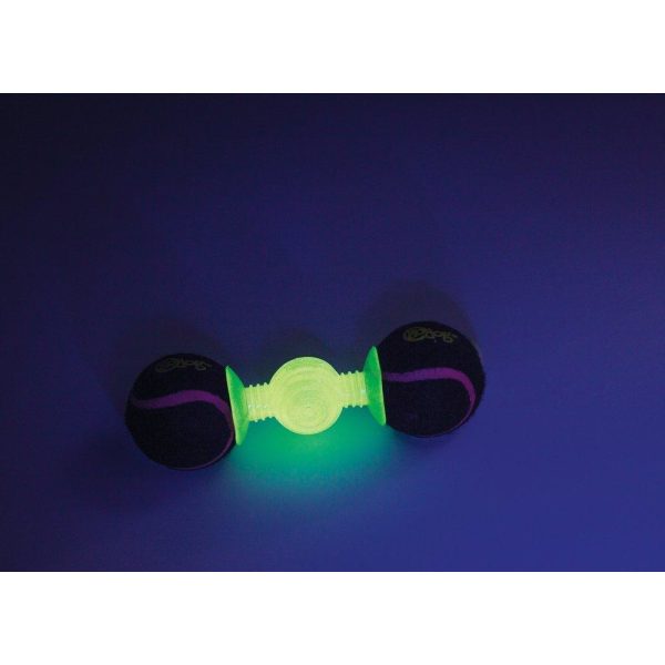 goDog Retrieval gloBounce Glow in the Dark - Retrieve Toys - Xtra Dog