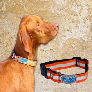 Spiffy Dog, High Visibility Collar