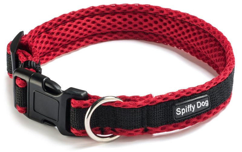 Spiffy Dog, Red Black Collar - Collars - Xtra Dog