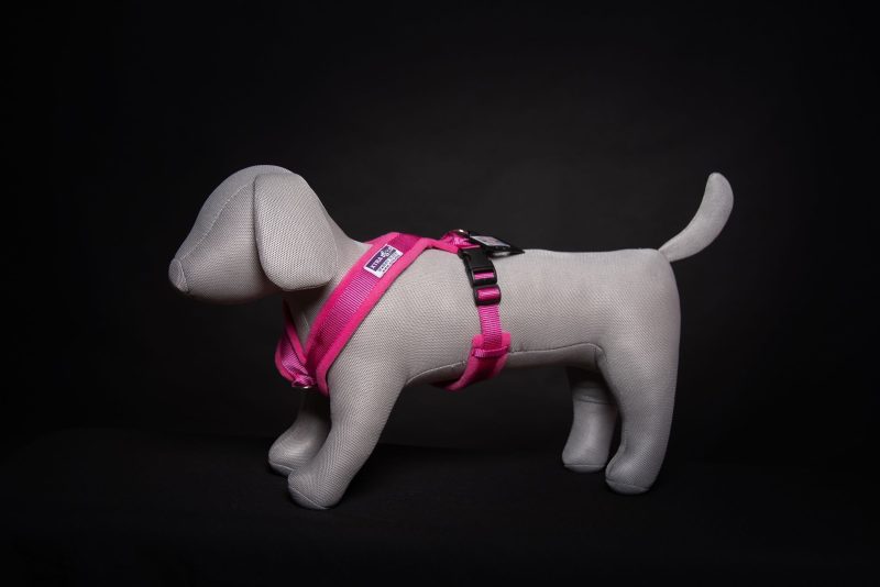 Xtra Dog Fleece Walking Harness - Harnesses - Xtra Dog