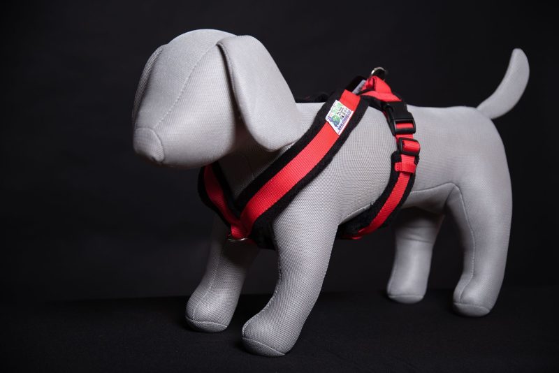 Xtra Dog Fleece Walking Harness - Harnesses - Xtra Dog