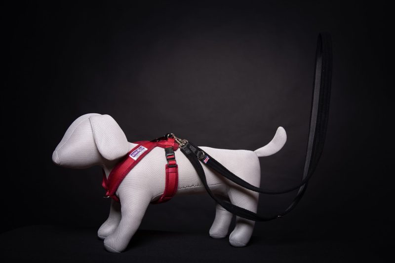 Xtra Dog Fleece Walking Harness - Harnesses - Xtra Dog