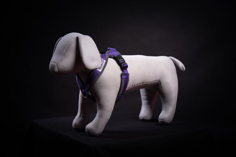 Xtra Dog Fleece Walking Harness - Harnesses - Xtra Dog