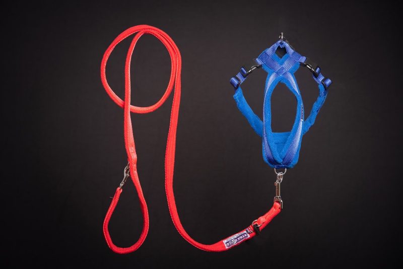 Xtra Dog Fleece Walking Harness - Harnesses - Xtra Dog
