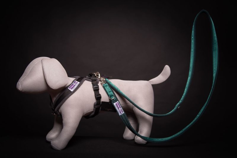 Xtra Dog Fleece Walking Harness - Harnesses - Xtra Dog