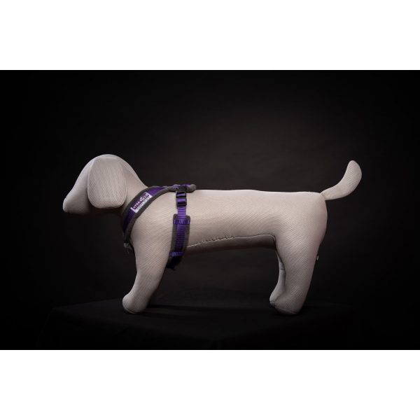 Xtra Dog Fleece Walking Harness - Harnesses - Xtra Dog