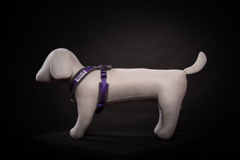 Xtra Dog Fleece Walking Harness - Harnesses - Xtra Dog