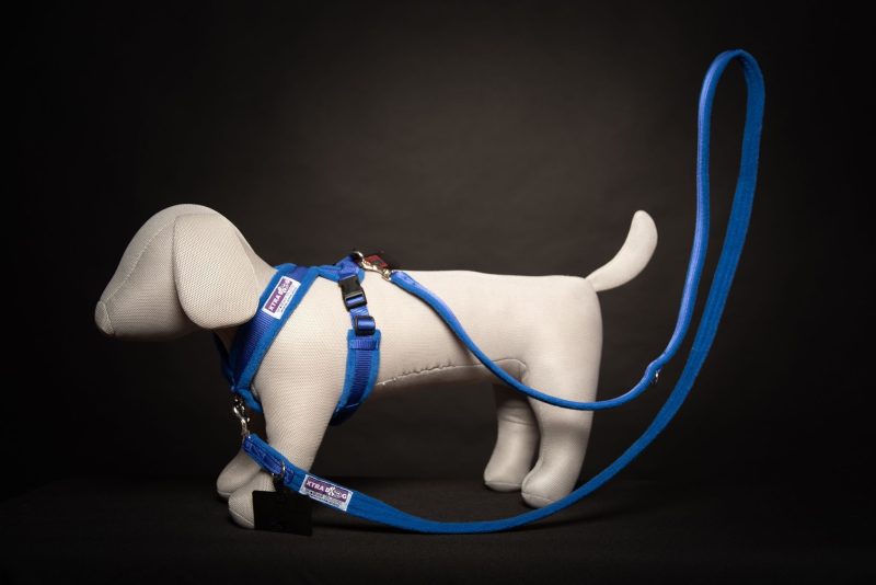Xtra Dog Fleece Walking Harness - Harnesses - Xtra Dog