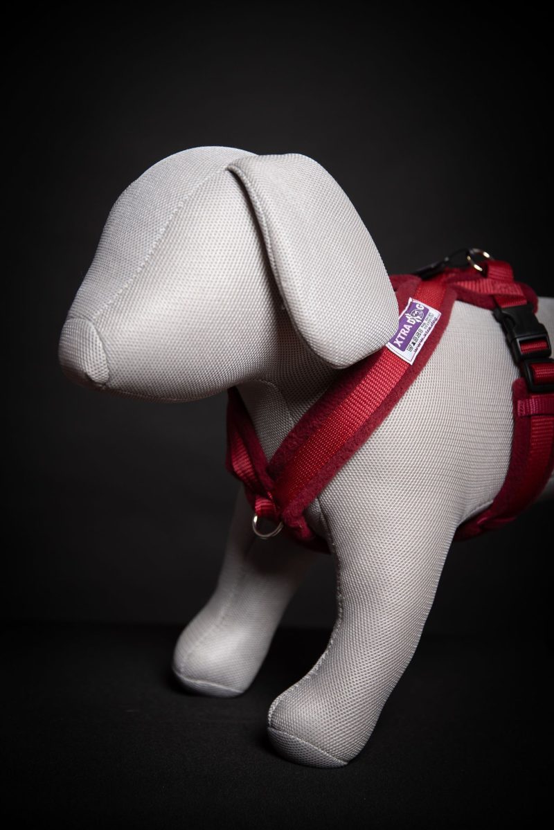 Xtra Dog Fleece Walking Harness - Harnesses - Xtra Dog