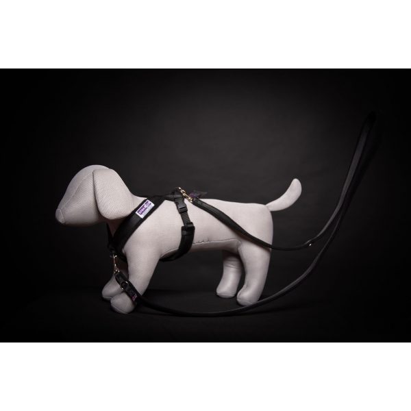 Xtra Dog Fleece Walking Harness - Harnesses - Xtra Dog