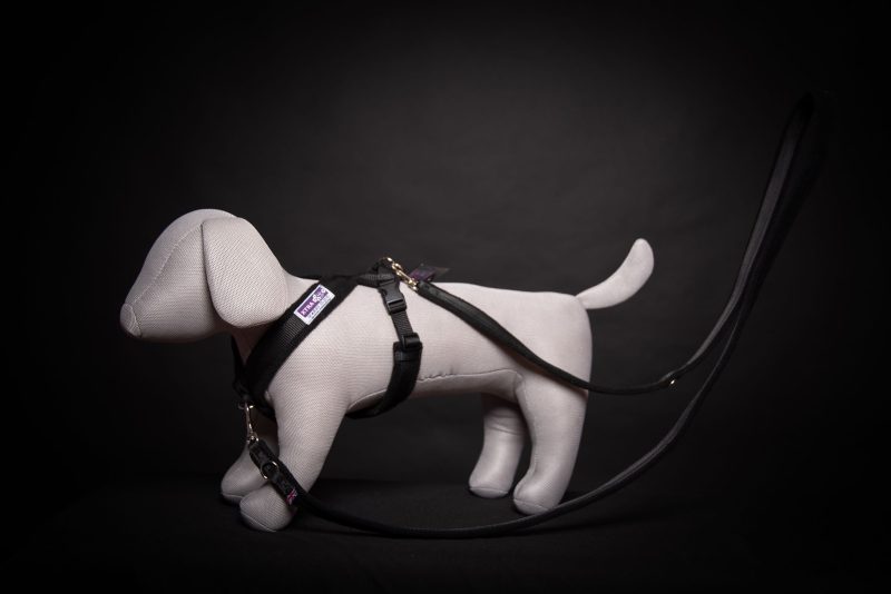 Xtra Dog Fleece Walking Harness - Harnesses - Xtra Dog
