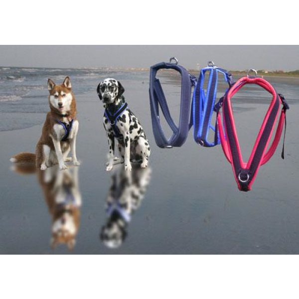 Xtra Dog Water-Repelling Walking Harness - Harnesses - Xtra Dog
